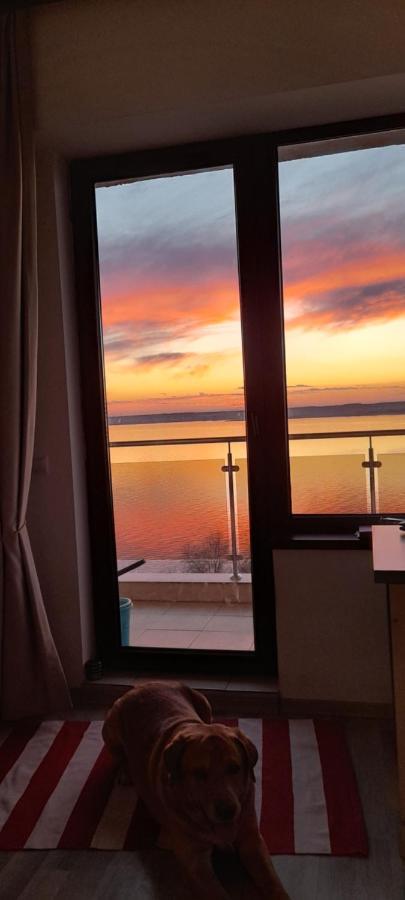Bella Vista Summerland Mamaia Εξωτερικό φωτογραφία